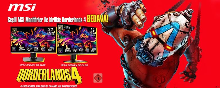 Borderlands mini.jpg (63 KB)