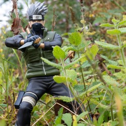 Abysse Naruto Shippuden Figure Kakashi - Thumbnail