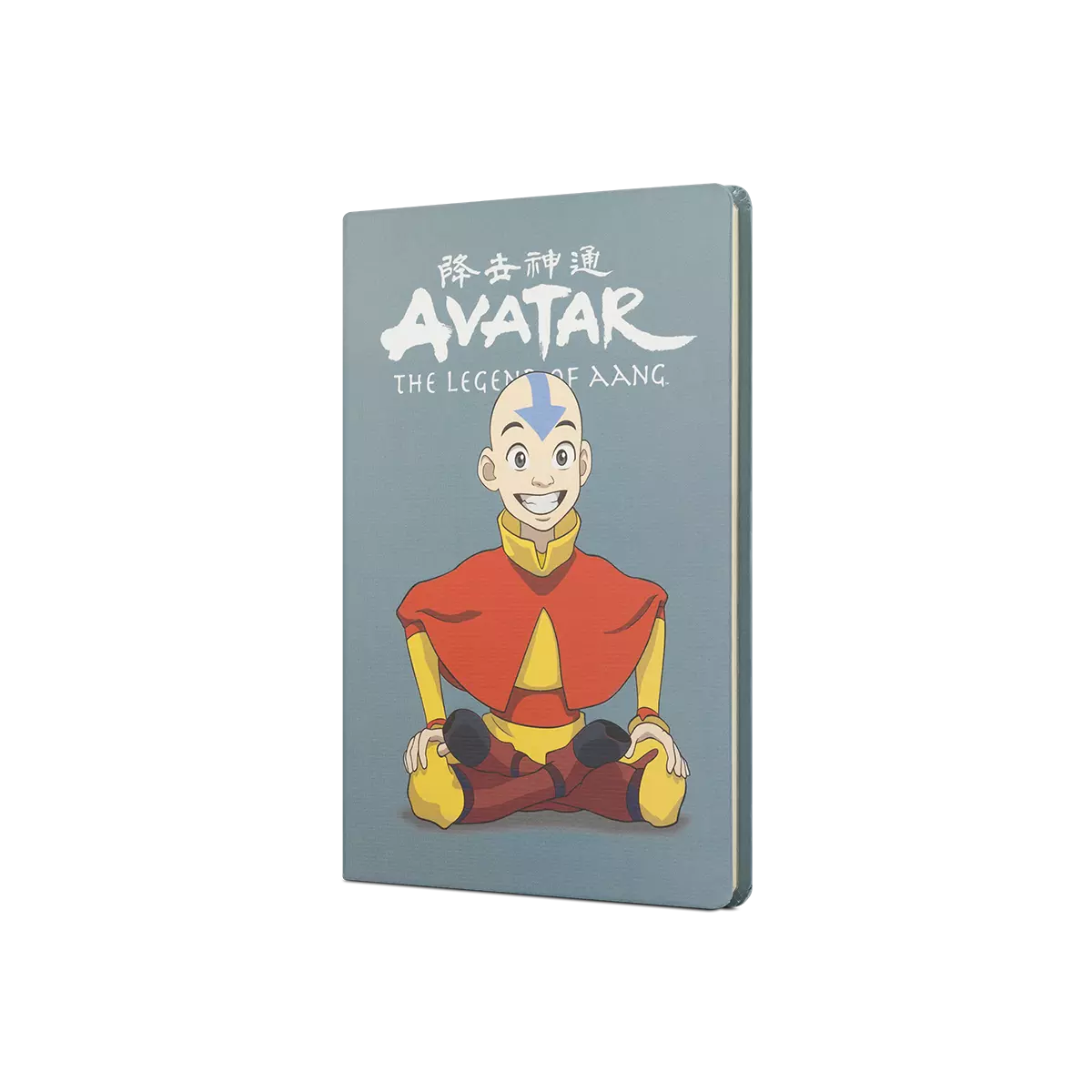 AVATAR AANG SERT KAPAK BUTIK DEFTER GRI - Thumbnail