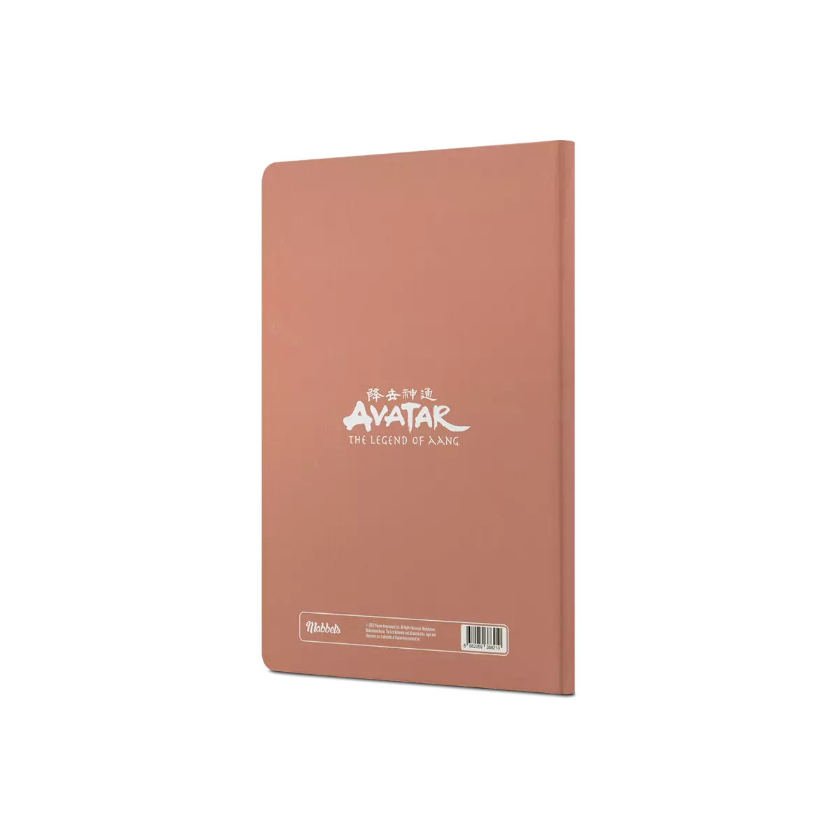 Avatar Appa ve Aang Sert Kapak Butik Defter Puce - Thumbnail