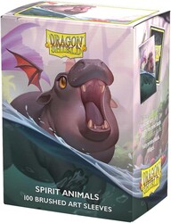 Dragon Shield - Dragon Shield 100 Dual Matte Sleeves The Snortle