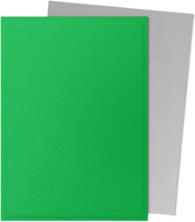 Dragon Shield 100 Matte Dual Sleeves Apple Green and Silver - Thumbnail