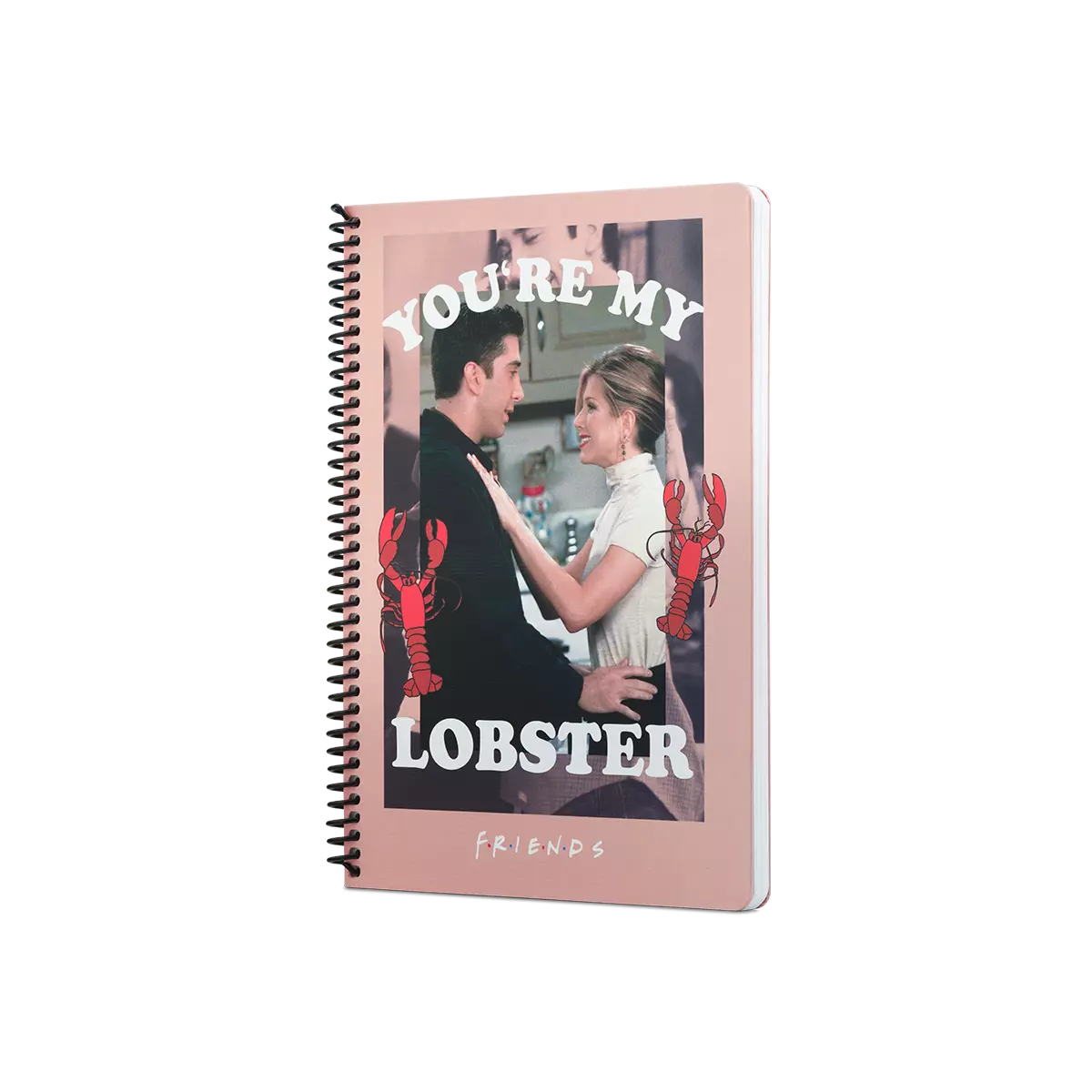 FRIENDS YOU ARE MY LOBSTER SPIRALLI DEFTER PEMBE - Thumbnail