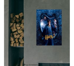 Harry Potter and the Chamber of Secrets Blue Poster - Thumbnail