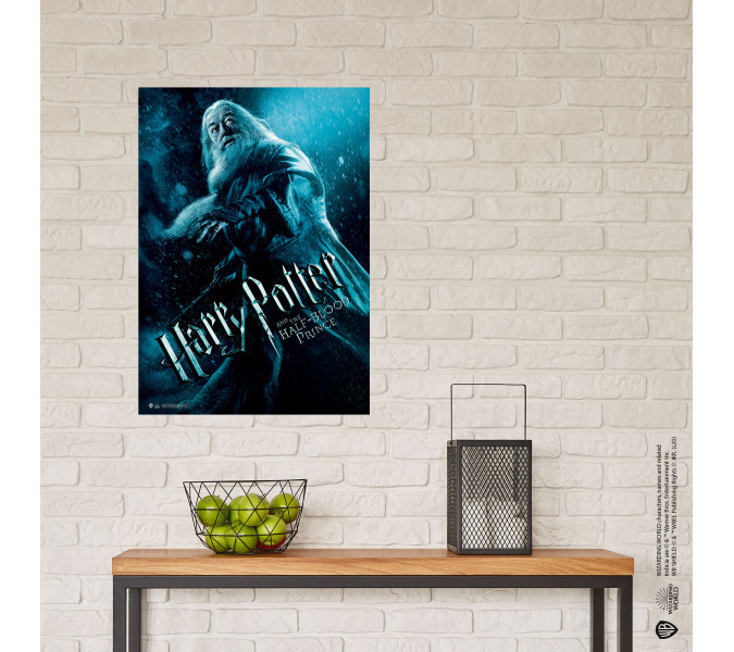 Harry Potter and the Half-Blood Prince Dumbledore Poster
