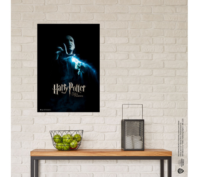 Harry Potter and the Order of the Phoenix Voldemort Poster