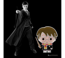 Harry Potter Harry Pin Rozet - Thumbnail