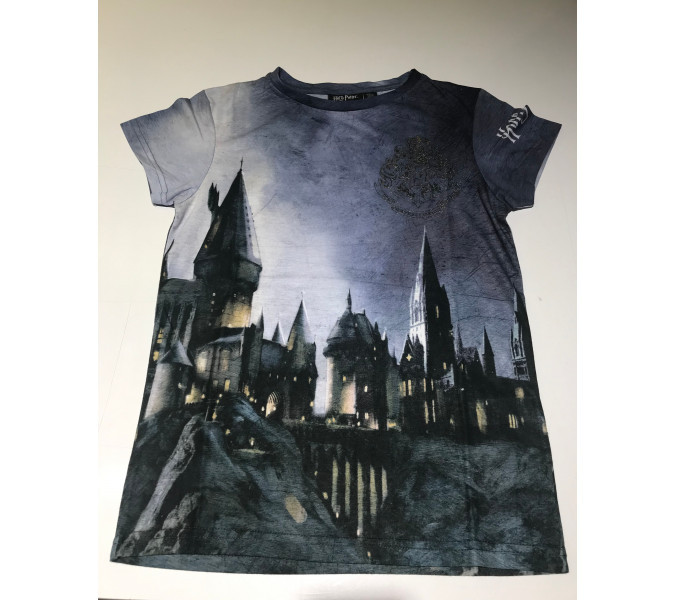 Harry Potter Hogwarts Silver Logo&Castle Gri Çocuk T-Shirt 10-11 Yaş