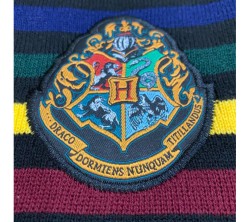 Harry Potter Hogwarts Unisex Bere - Thumbnail