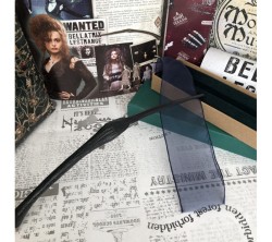 Harry Potter Ollivander's Bellatrix Lestrange Wand - Thumbnail