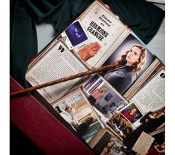 Harry Potter Ollivander's Hermione Granger Asa - Thumbnail