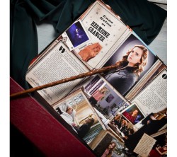 Harry Potter Ollivander′s Hermione Granger Asa - Thumbnail