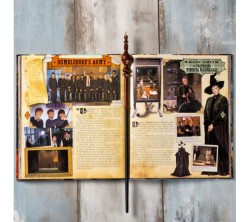 Harry Potter Ollivander's McGonagall Asa - Thumbnail