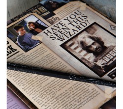 Harry Potter Ollivander's Sirius Black Asa - Thumbnail
