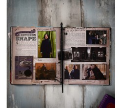 Harry Potter Ollivander's Snape Asa - Thumbnail