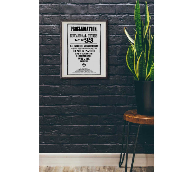 Harry Potter Proclamation №:33 Poster