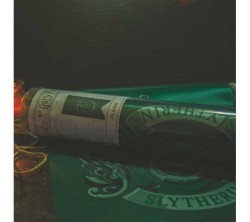 Harry Potter Slytherin Flama 30 x 50 cm - Thumbnail