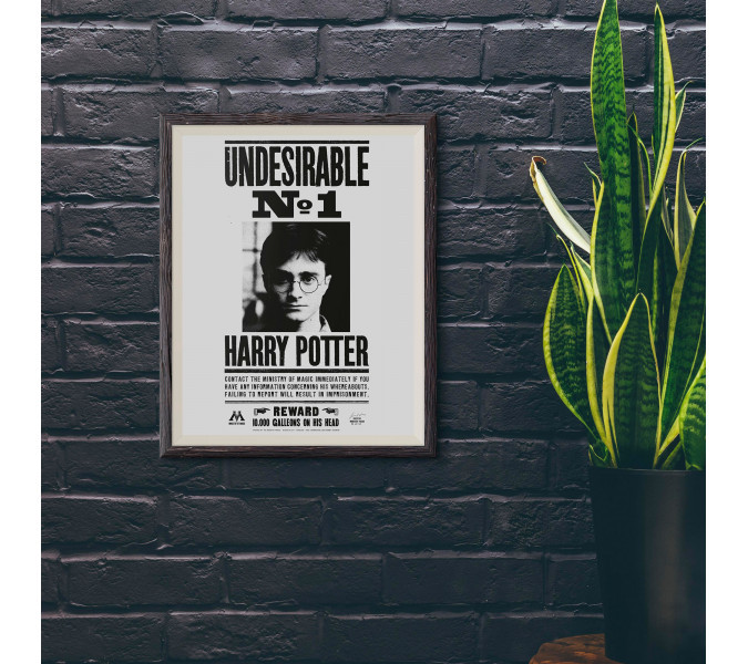 Harry Potter Undesirable №:1 Wanted Poster