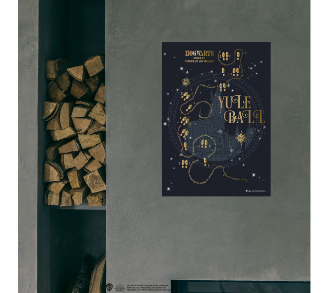 Harry Potter Yule Ball Poster