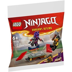 Lego Ninjago Dragon's Rising Cole Wolf Mask Warrior Figure