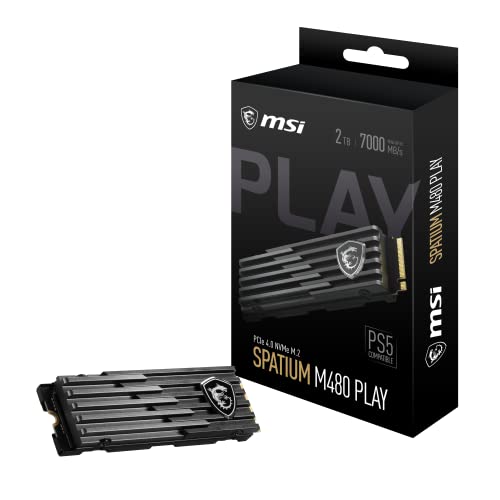 MSI 2 TB Spatium M480 PCIe 4.0 NVMe M.2 PLAY SSD - Ps5 Uyumlu
