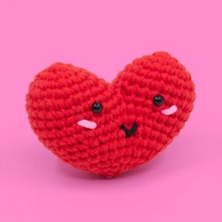 Selfiko Örgü Öğrenme Seti Caniko - Thumbnail