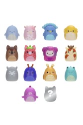 Squishmallows Squish a Long 14 Figür ve Yüzük Seti Seri B - Thumbnail