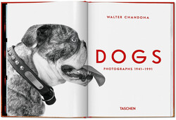 Taschen Walter Chandoha Dogs Photographs 1941 - 1991 - Thumbnail