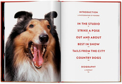 Taschen Walter Chandoha Dogs Photographs 1941 - 1991 - Thumbnail